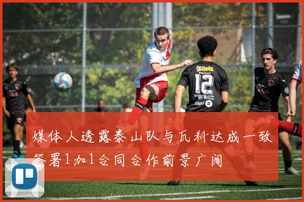 媒体人透露泰山队与瓦科达成一致签署1加1合同合作前景广阔