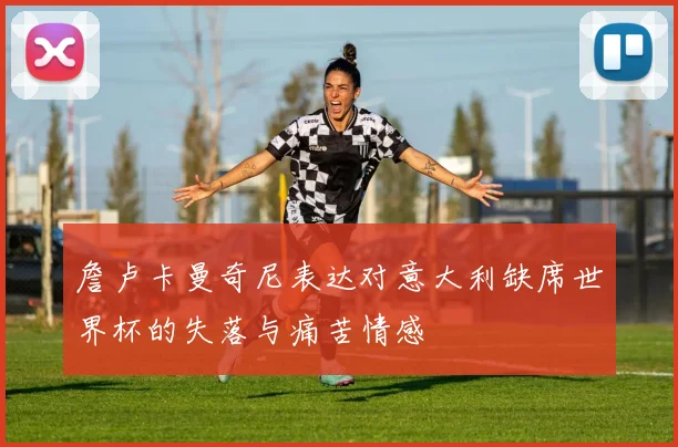詹卢卡曼奇尼表达对意大利缺席世界杯的失落与痛苦情感